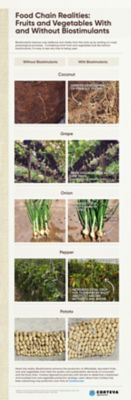 Food Chain Realities Benefits of Biostimulants infographic